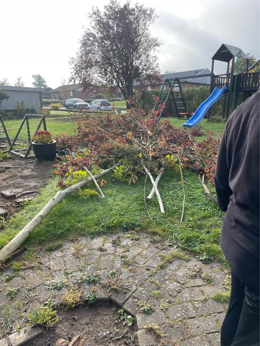 Bortkørsel af ral, jord og affald fra trætrimning