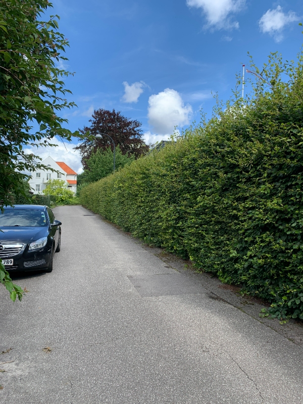 Klip hæk og kør haveafald + pap væk