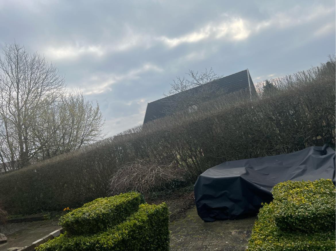 Klipning af hække, og æbletræer. Hjælp til ændring i haven