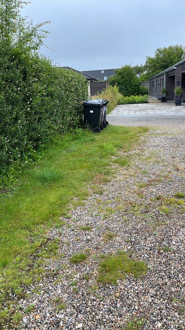 Fjernelse af ukrudt i indkørsel