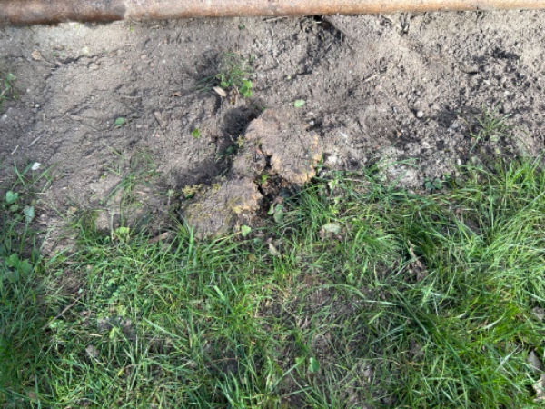 Diverse fjernelser rødder mm