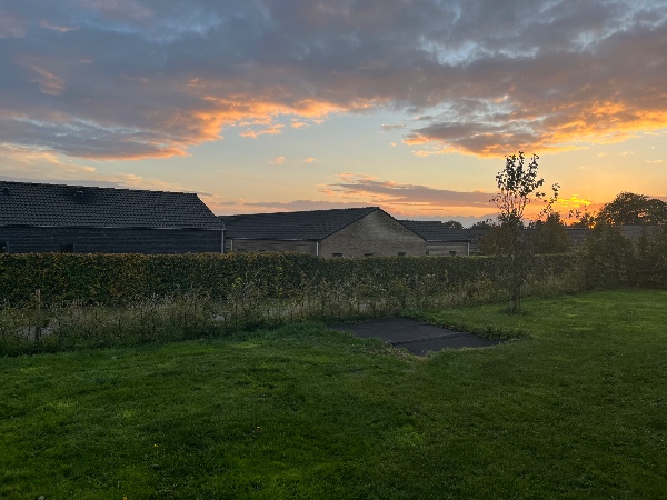 Luge ukrudt i hæk på ca. 50 meter i Hinnerup