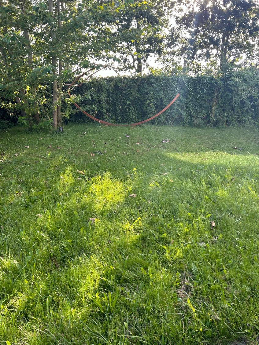 Klipning af hæk + græsslåning