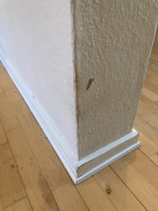 Tapetskader, dyrebid