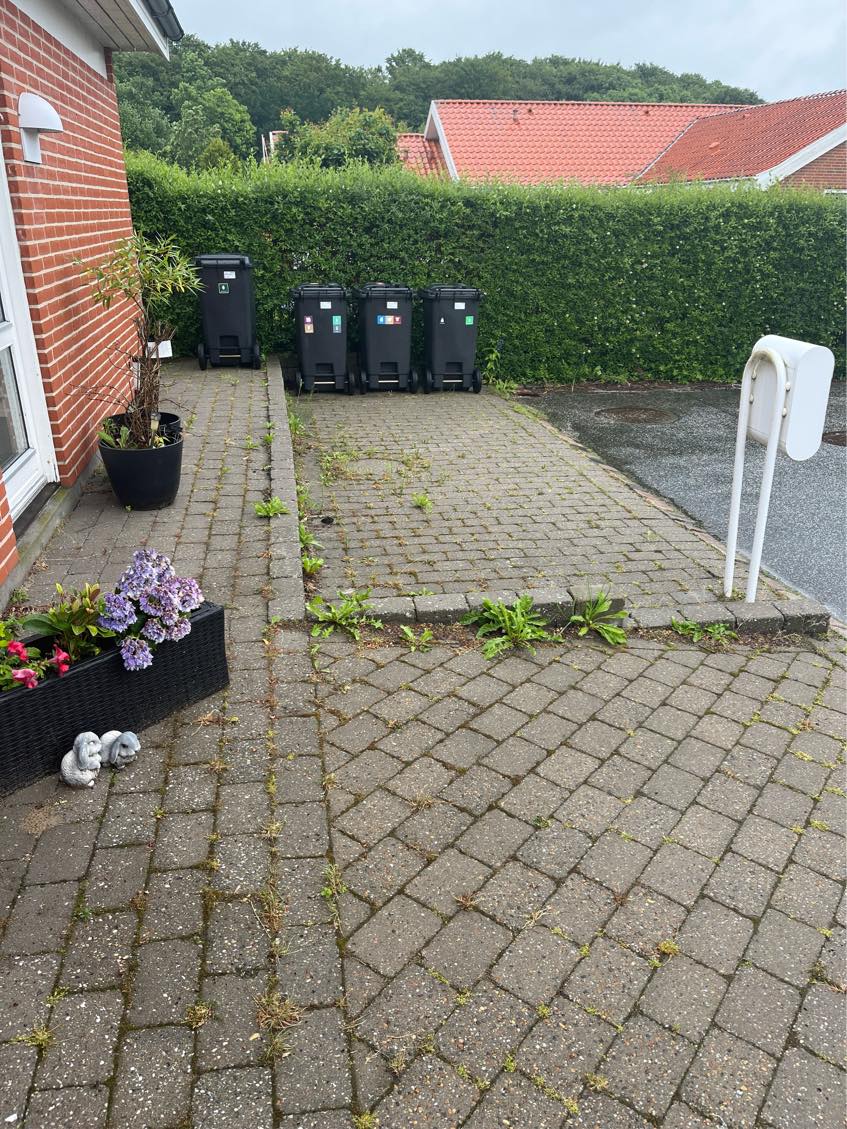 Fjernet ukrudt mellem fliser