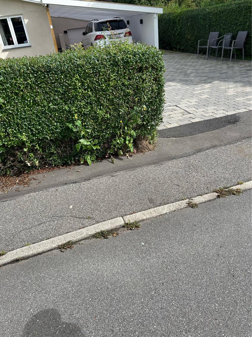 Havearbejde udkrudt i indkørsel og tisdler i hæk