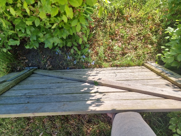 Genetablering af havelåge