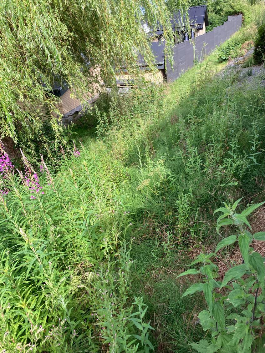 Rensning af skråning for ukrudt