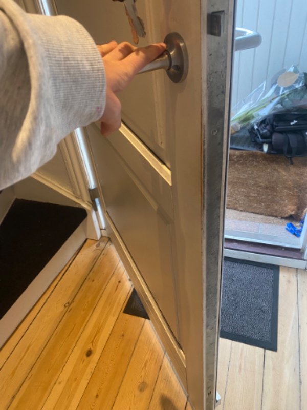 Lavet hul til kattelem i hoveddør