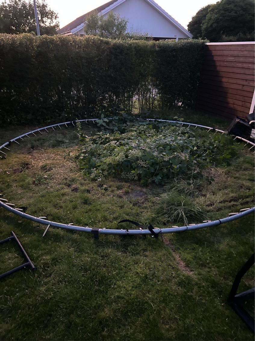 Fjerne trampolin