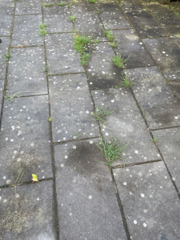 Ukrudtsfjerning mellem fliser