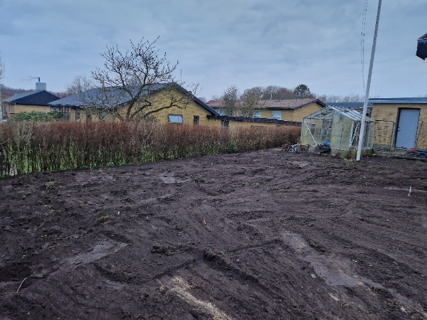 Anlæg af græsplæne