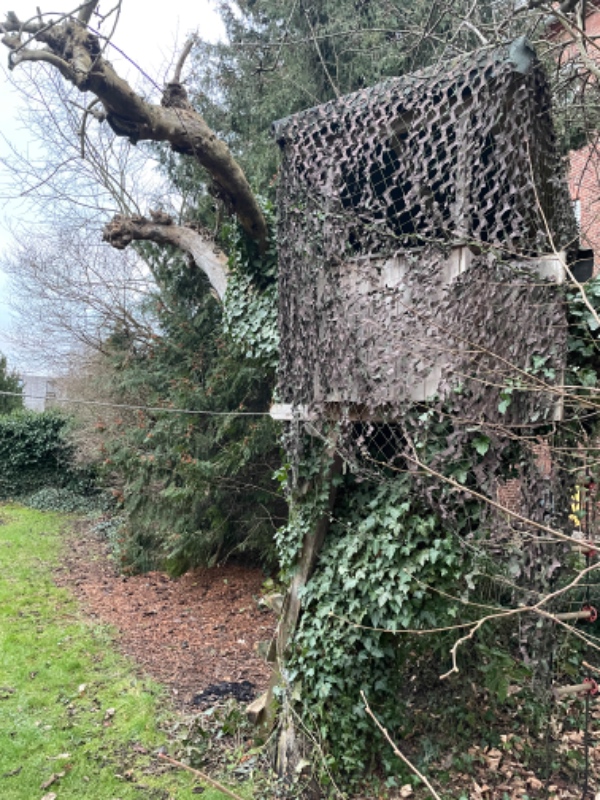 Have (oprydning og afhentning af diverse)