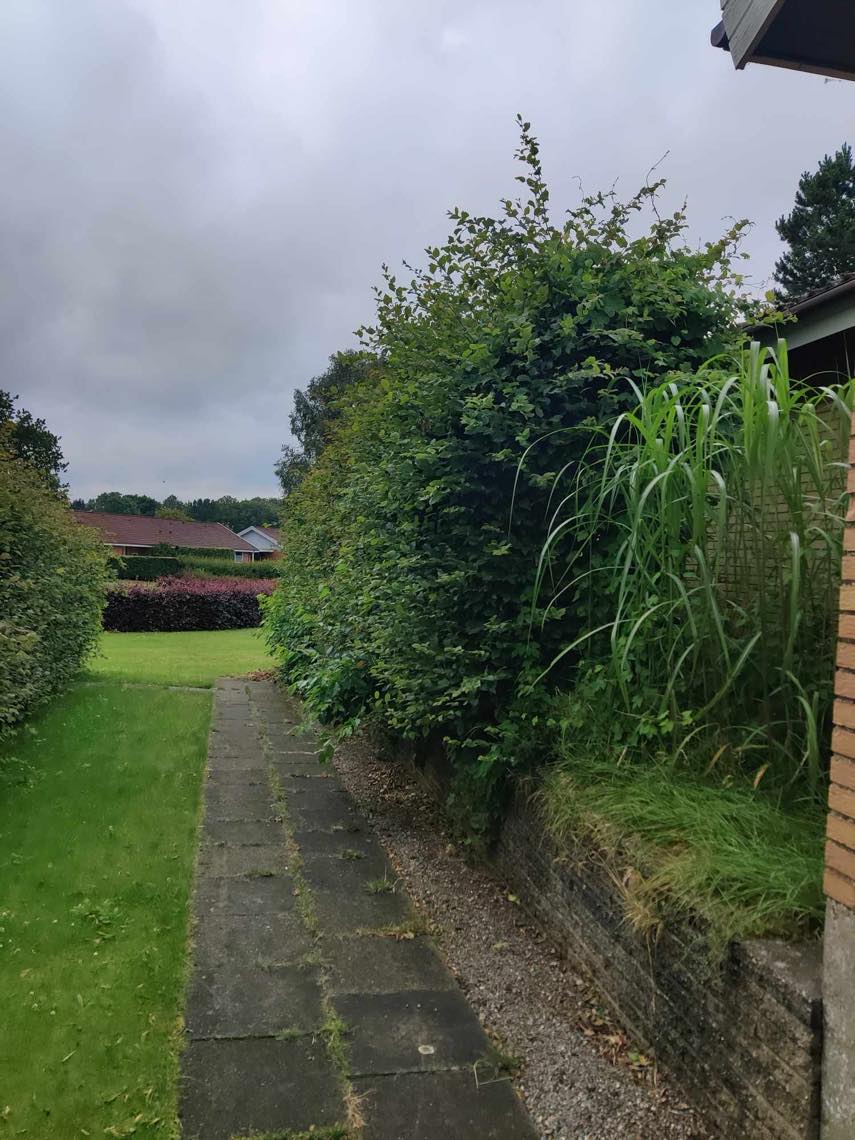 Fjernet ukrudt, klippe hæk og trimme græs i Billund