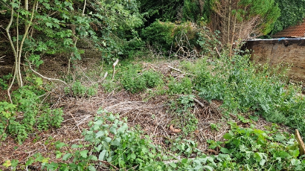 Vi skal have fjernet 3Bx6Lx1H (meter) stor bunke kompost + grene