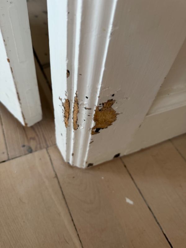 Fraflytning af lejlighed (lidt maling og andre småreparationer).