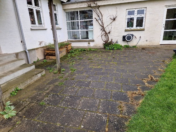 Grundig fjernelse af ukrudt