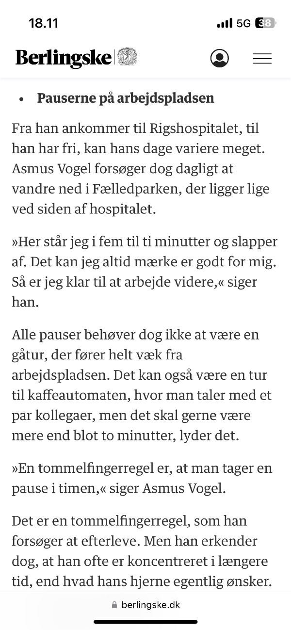 Nedtagning af brændeovn