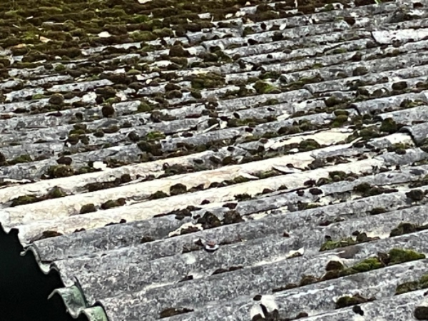 Udskiftning af ca 40 kvm garage eternittag