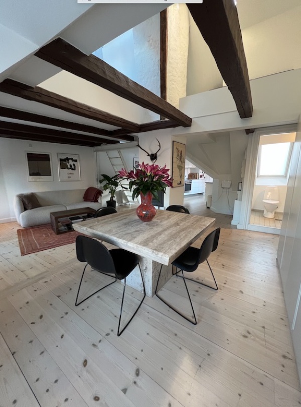 Fjerning af maling på hanebånd/loftsbjælker ca 15 stk a 3-4 meter