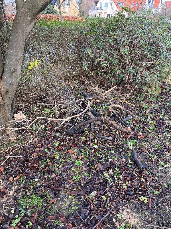 Bortskaffelse af affald