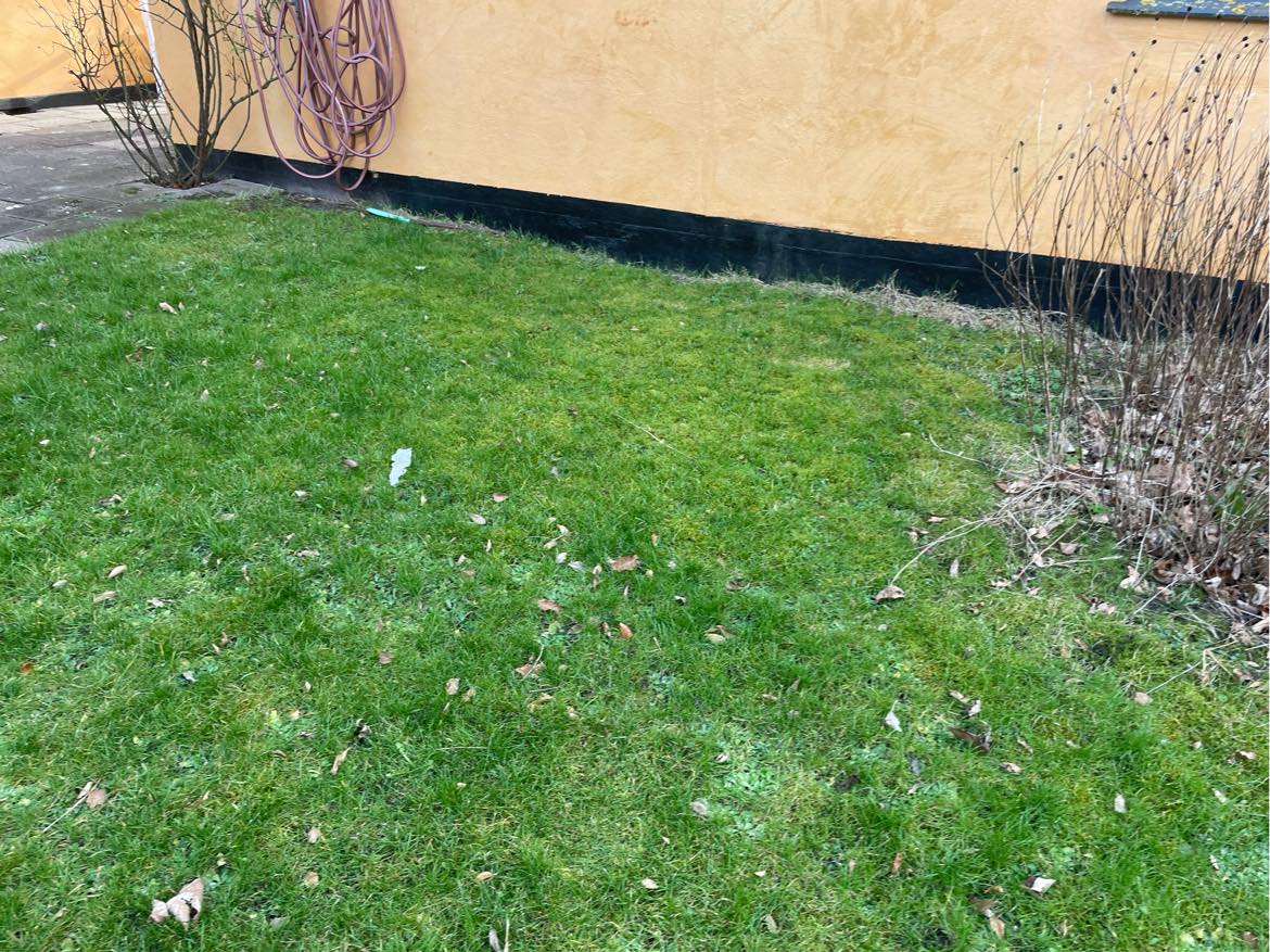 Havearbejde inkl fliserens