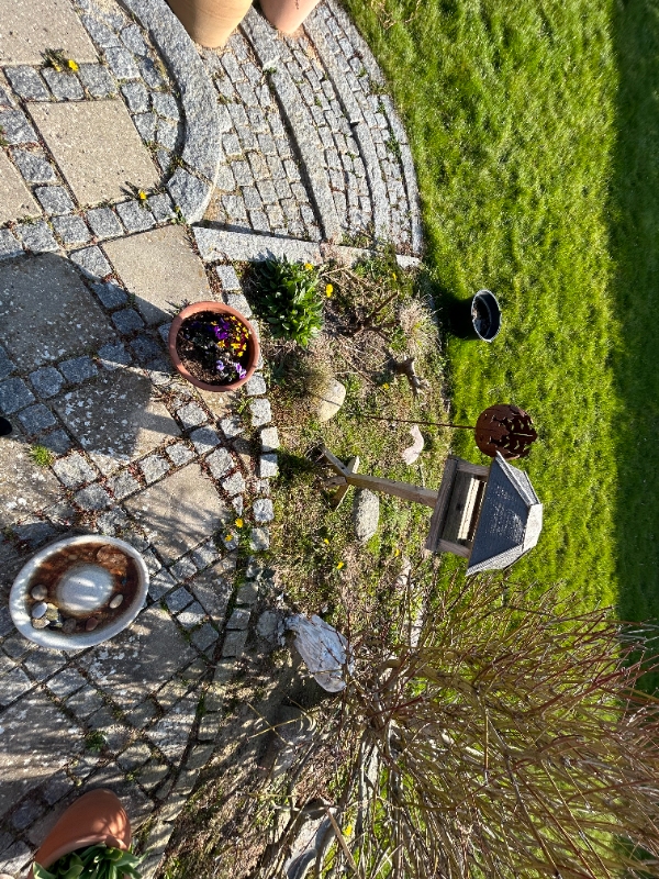 Anlægge terrasse i hårdt trø