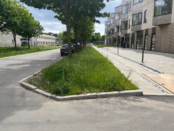 Græsrydning med buskrydder