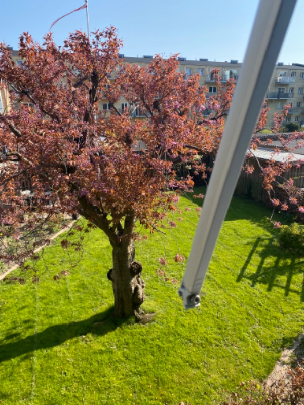 Reparation af markise