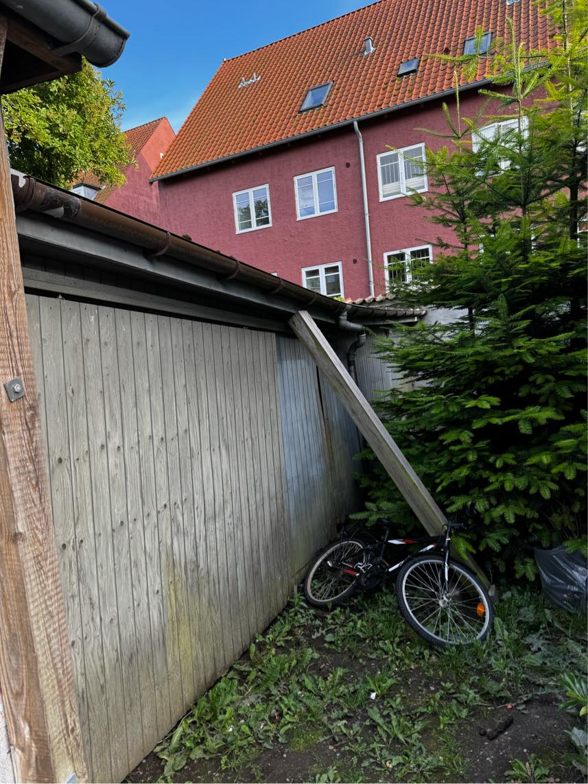 Rive skur/ garage ned og fjerne 2 træer