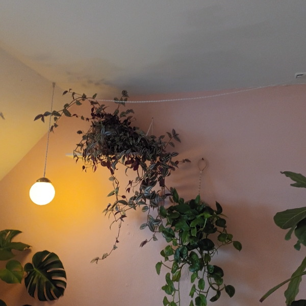 Opsætning af tre lamper fra ét udtag. Hvis det kan lade sig gøre?