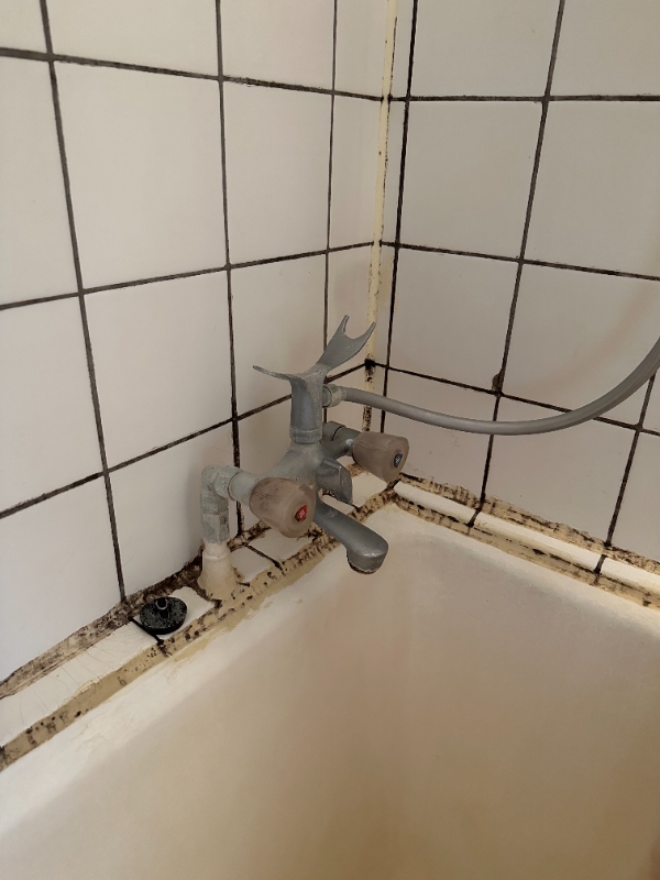 Nye fuger til badeværelse og evt. afkalkning/rens af badekar