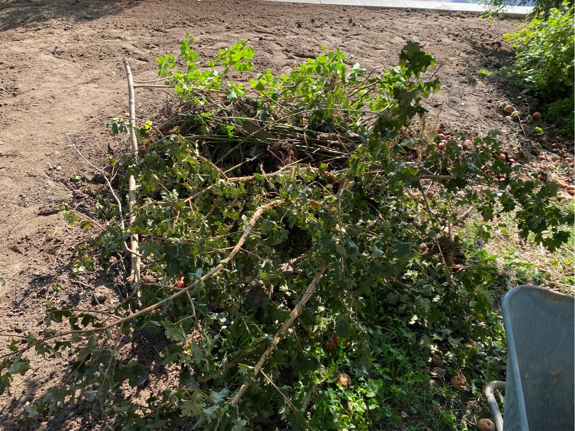 Hjælp til at fjerne fliser, haveaffald og lidt blandet byggeaffald