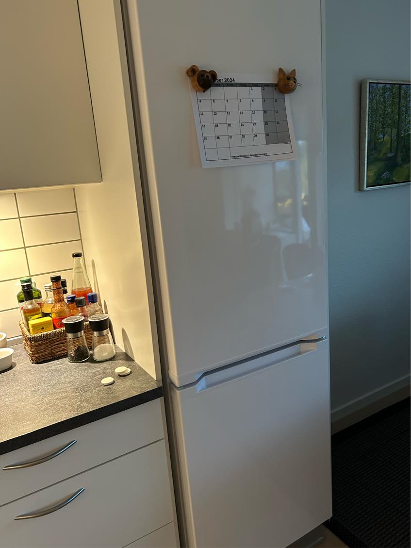 Flytte lampe over spisebord og opsætte lysskinne, opsætte plafond og stille vaskemaskine og køl/frys i vater.