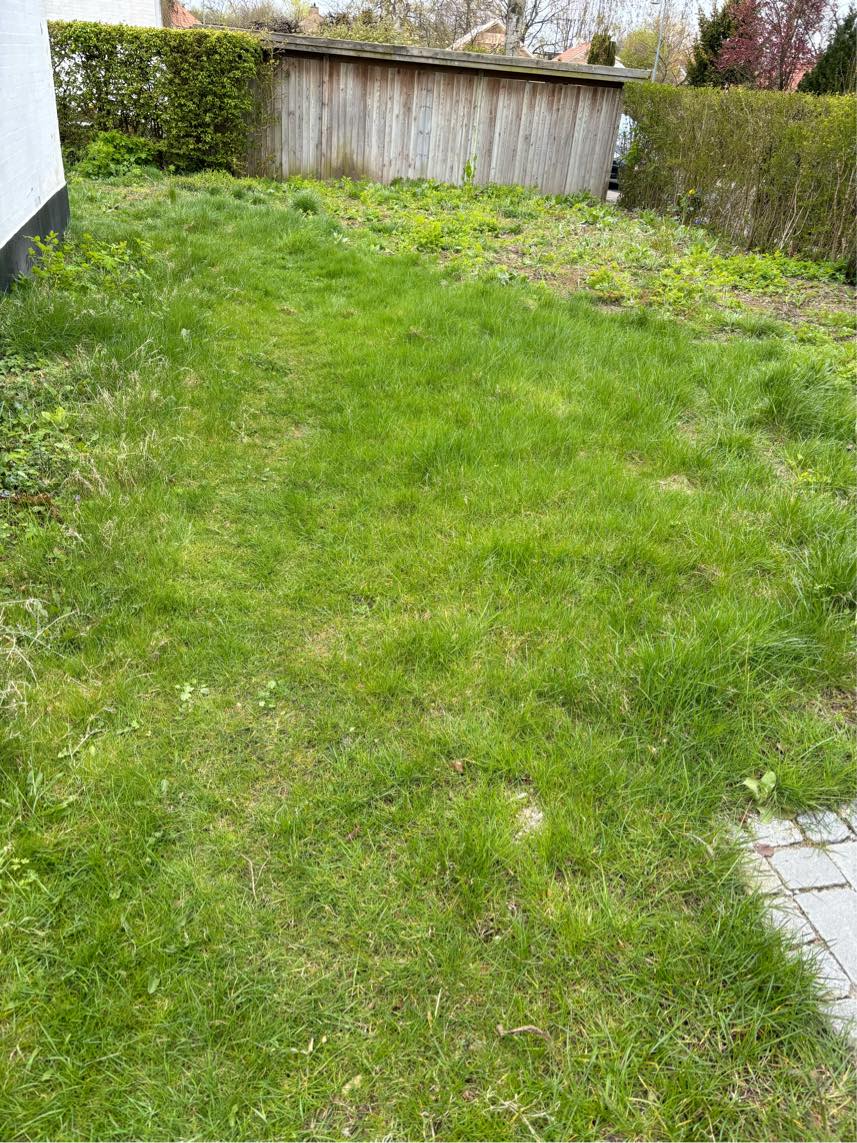 Udbedring / planering af plæne