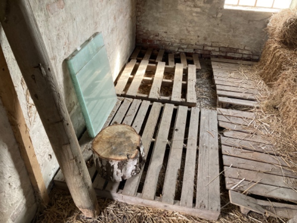 Hjælp til at tømme og køre ting fra en lade væk