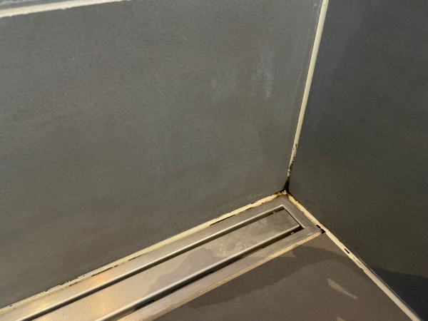 Nye fugninger i bunden af brusekabine grundet svamp. Nyere hus fra 2018.