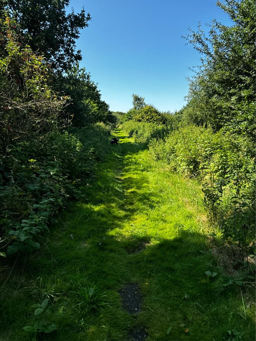 Haveaffald skal køres væk