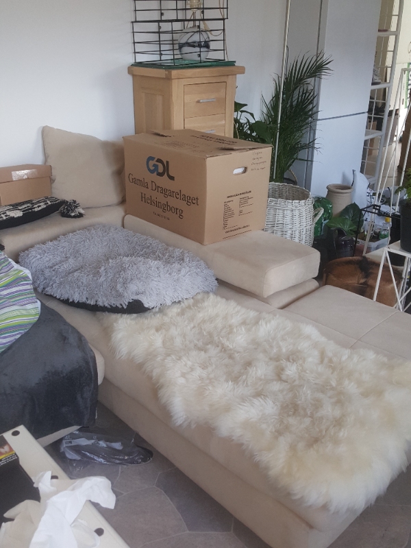 Hej jeg kunne godt tænke mig at få flyttet nogle sofaer mm det er nogle tunge ting og der er en del