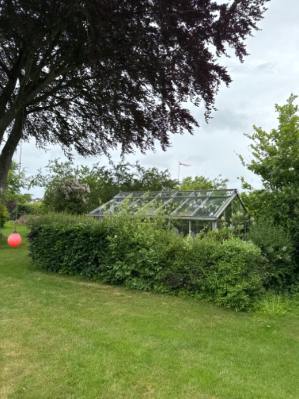 Hækklipning af stor grund