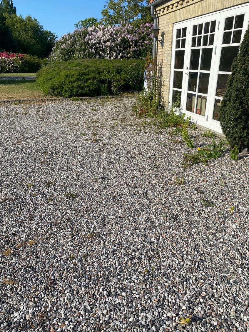 Ukrudt i stor gårdsplads - perlesten