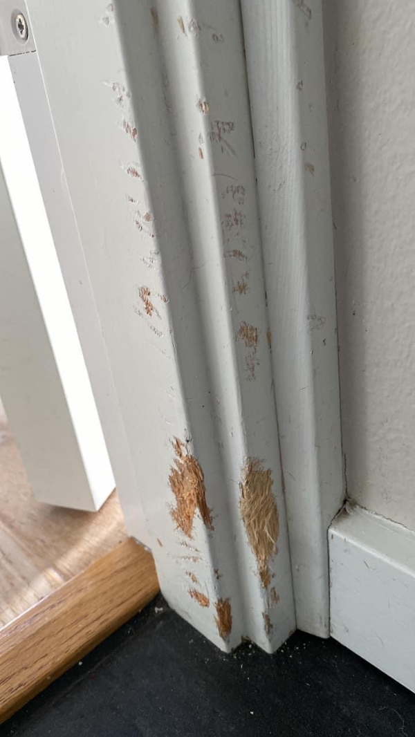 Udskiftning/rep af dørkarm/gulvpanel