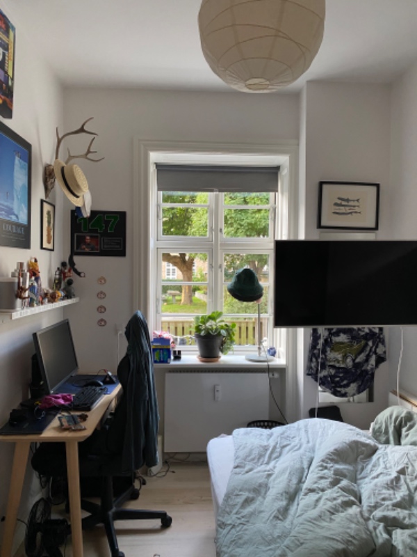 Loft, vægge, paneler og dør i 6m2 stort rum skal males hvidt