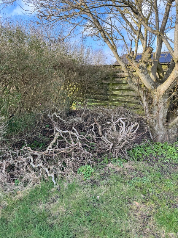 Rydning til genbrugsstation