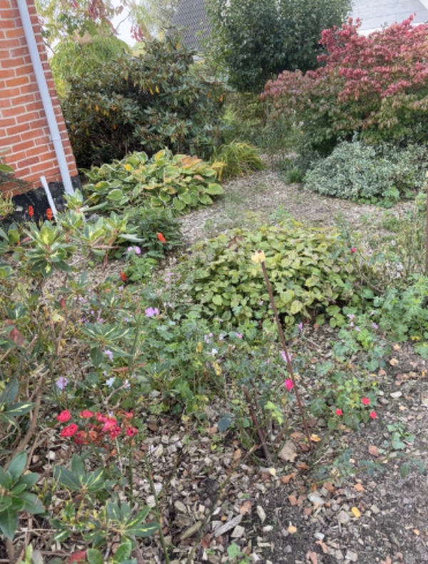 Efterårsklargøring af haven ukrudtsbekæmpelse og beskæring af buske Pålægning af træflis i forhave