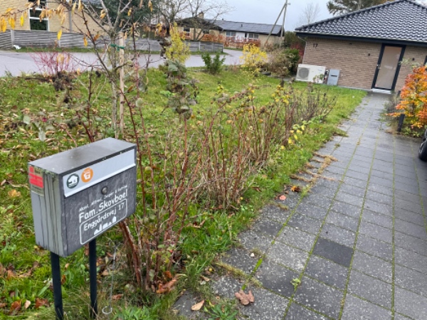 Hjælp til havepleje - ukrudt mellem fliser, i bede mv.