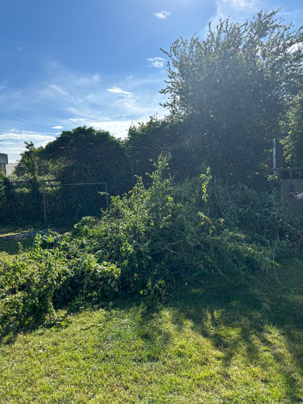 Afhentning af haveaffald med trailer