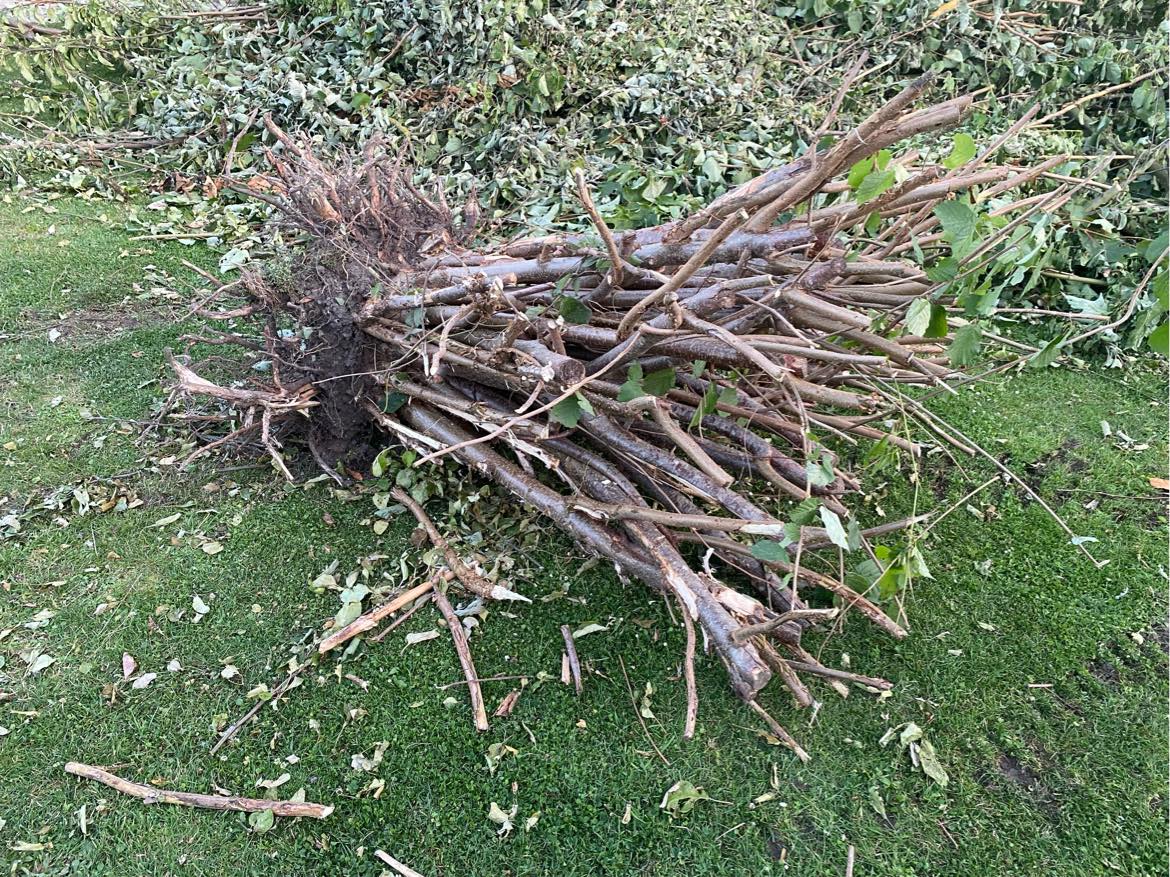 Bortskaffelse af haveaffald