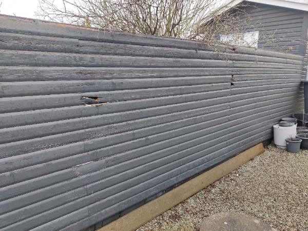 Renovering af 7 m dobbelt hegn, sikkert kun en side