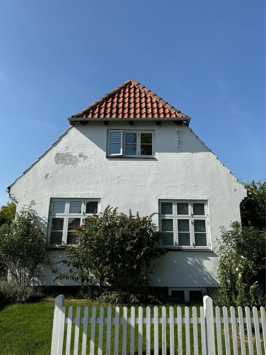 Rensning og 2-3x maling af facade